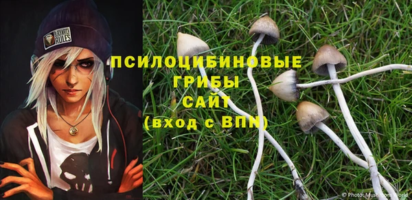 PSILOCYBIN Бронницы